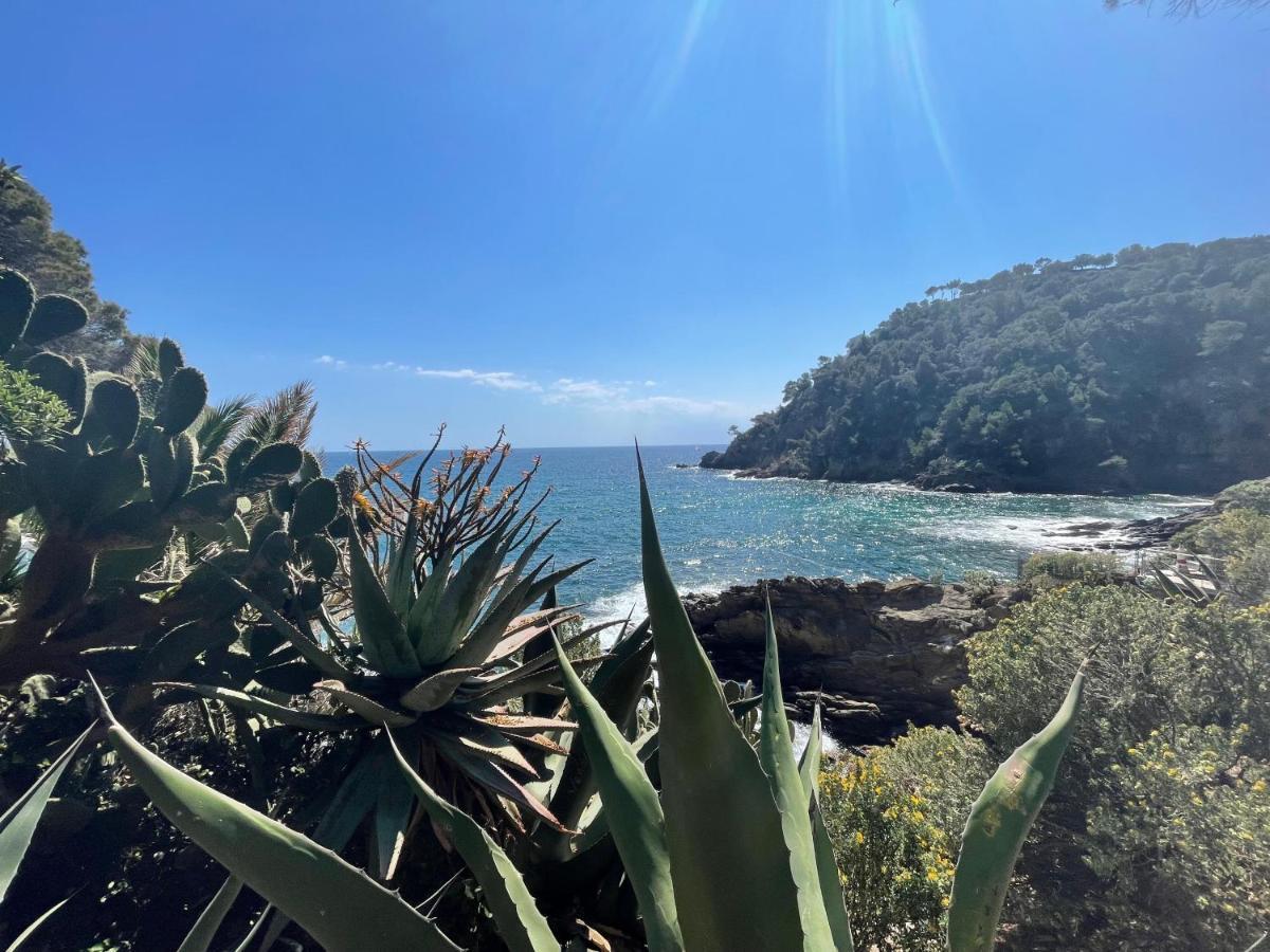 La Villa Cavalaire Exteriér fotografie