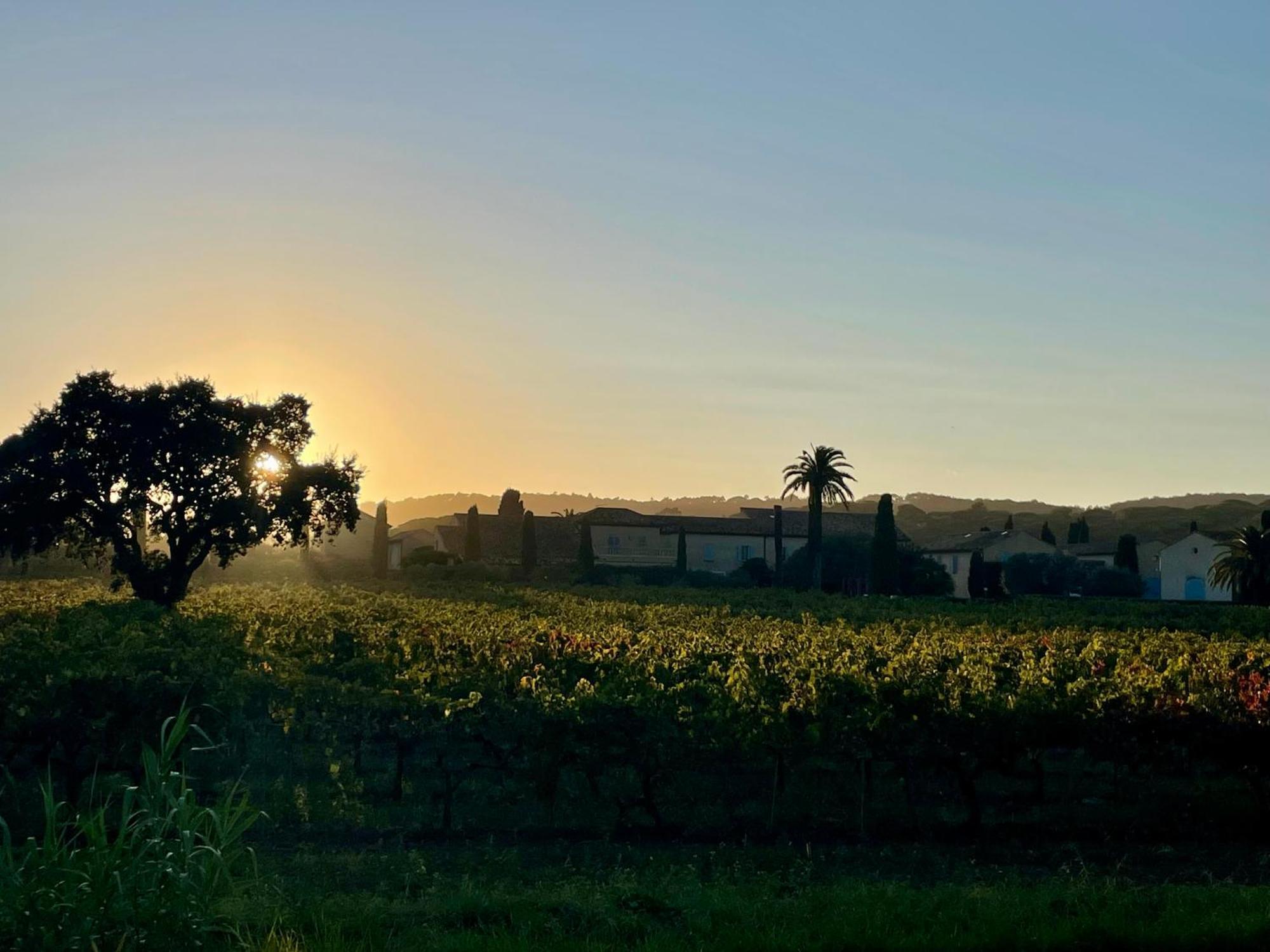 La Villa Cavalaire Exteriér fotografie